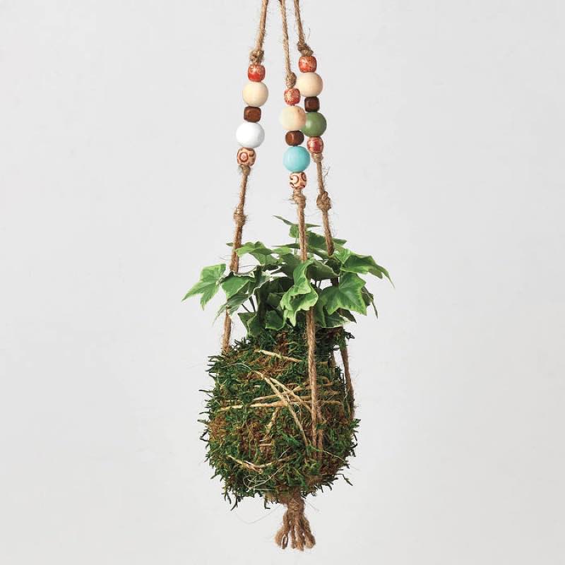 Kokedama Moss Ball Hanging Plant - Ivy Goldchild